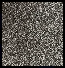 Euphora Stone flooring sample