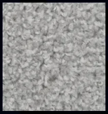 Maestro Nickel flooring sample