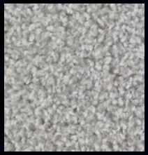 Maestro Fossel flooring sample