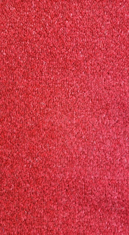 Firecracker Capet Sample